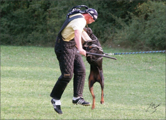 Summer training camp - Jelenec - 2007